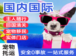 桂林机场快运国际宠物托运 【国